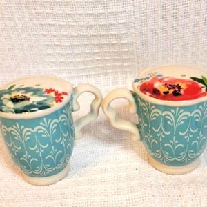 Pioneer Woman MELODY teacup salt and pepper shakers set. Gift Idea 🌺 HTF, RARE